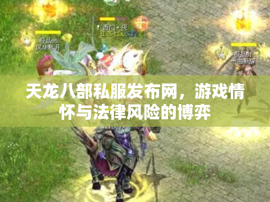 天龙八部私服发布网，游戏情怀与法律风险的博弈