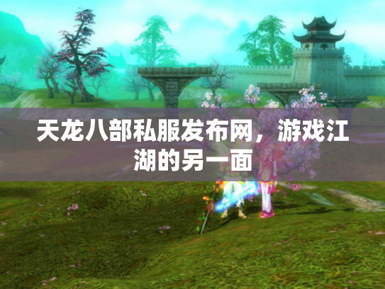 天龙八部私服发布网，游戏江湖的另一面