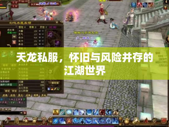 天龙私服，怀旧与风险并存的江湖世界