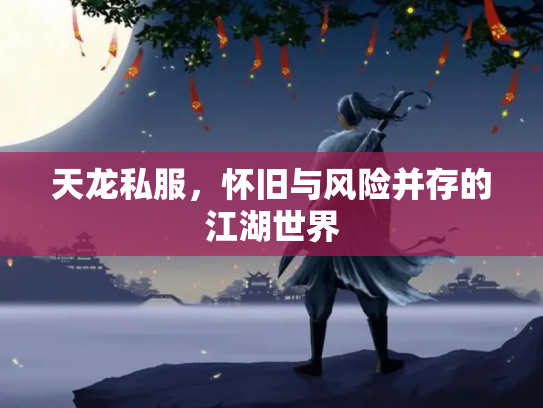 天龙私服，怀旧与风险并存的江湖世界