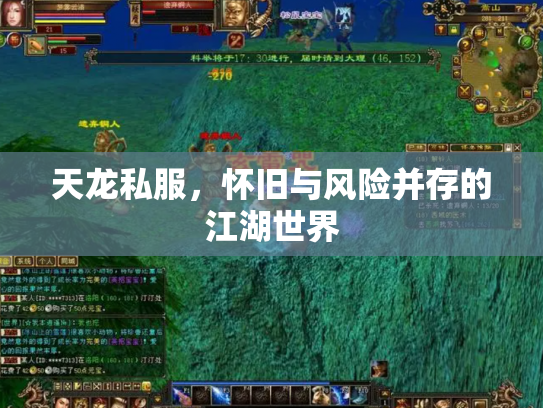 天龙私服，怀旧与风险并存的江湖世界
