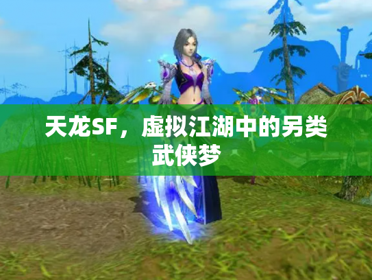 天龙SF，虚拟江湖中的另类武侠梦