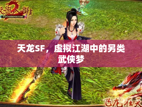 天龙SF，虚拟江湖中的另类武侠梦
