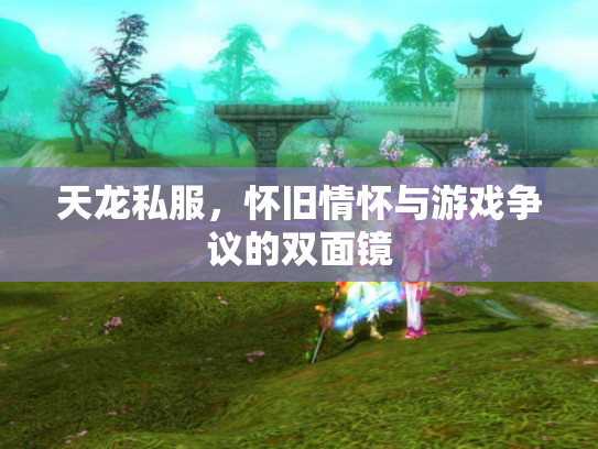 天龙私服，怀旧情怀与游戏争议的双面镜