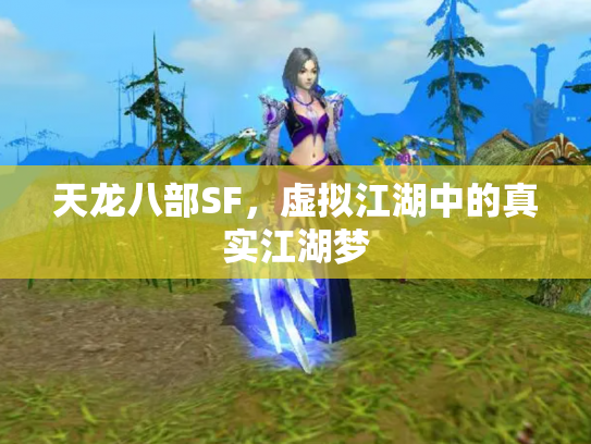天龙八部SF，虚拟江湖中的真实江湖梦