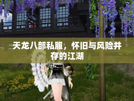 天龙八部私服，怀旧与风险并存的江湖