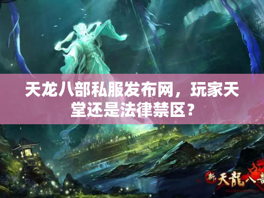 天龙八部私服发布网，玩家天堂还是法律禁区？