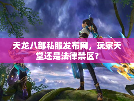 天龙八部私服发布网，玩家天堂还是法律禁区？