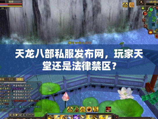 天龙八部私服发布网，玩家天堂还是法律禁区？