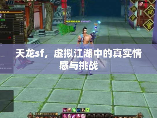 天龙sf，虚拟江湖中的真实情感与挑战