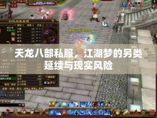 天龙八部私服，江湖梦的另类延续与现实风险