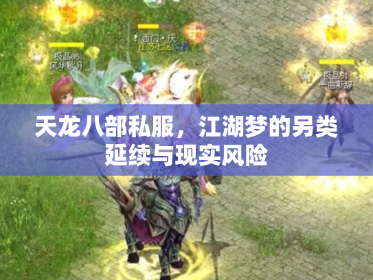 天龙八部私服，江湖梦的另类延续与现实风险