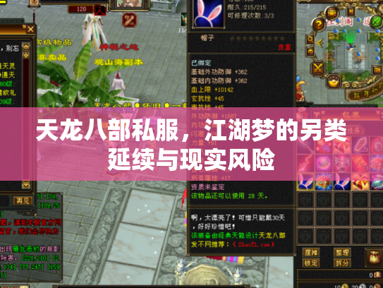 天龙八部私服，江湖梦的另类延续与现实风险