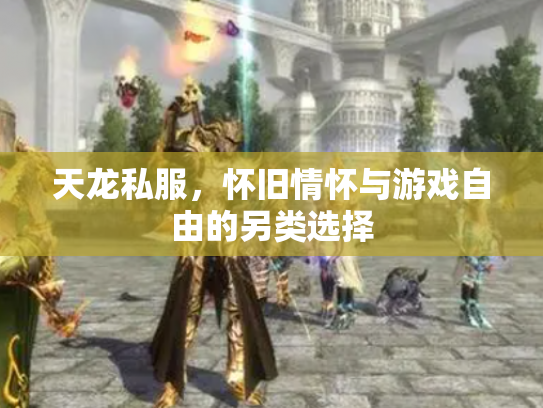 天龙私服，怀旧情怀与游戏自由的另类选择