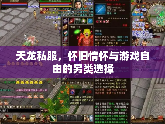 天龙私服，怀旧情怀与游戏自由的另类选择