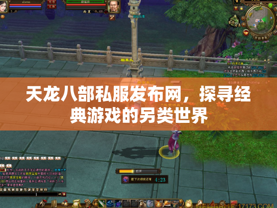 天龙八部私服发布网，探寻经典游戏的另类世界