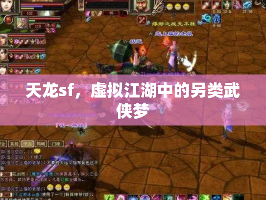 天龙sf，虚拟江湖中的另类武侠梦