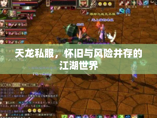 天龙私服，怀旧与风险并存的江湖世界