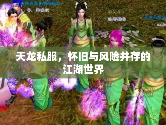 天龙私服，怀旧与风险并存的江湖世界