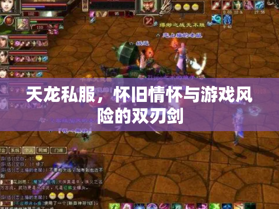 天龙私服，怀旧情怀与游戏风险的双刃剑