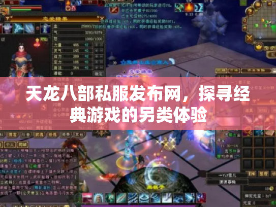 天龙八部私服发布网，探寻经典游戏的另类体验