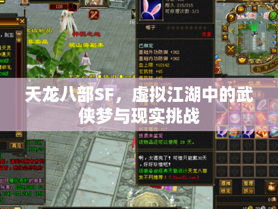 天龙八部SF，虚拟江湖中的武侠梦与现实挑战
