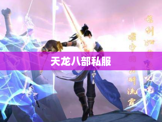天龙八部私服