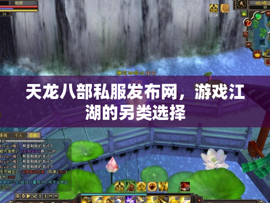 天龙八部私服发布网，游戏江湖的另类选择