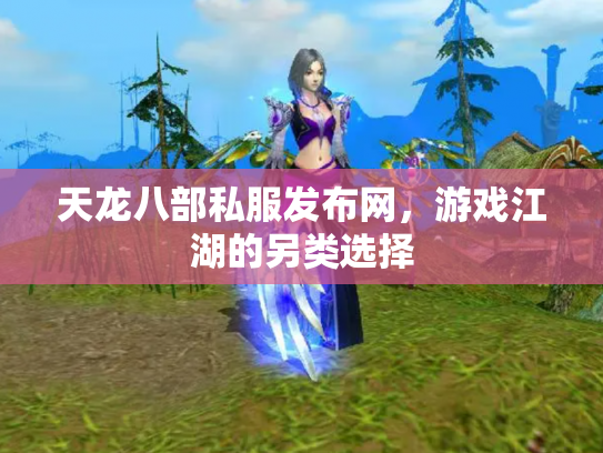天龙八部私服发布网，游戏江湖的另类选择