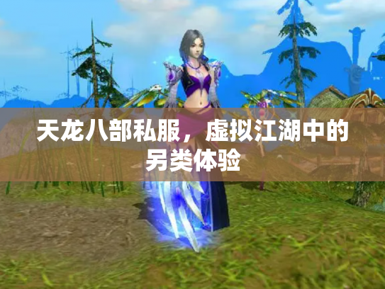 天龙八部私服，虚拟江湖中的另类体验