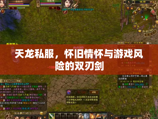 天龙私服，怀旧情怀与游戏风险的双刃剑