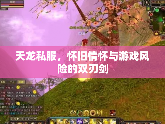 天龙私服，怀旧情怀与游戏风险的双刃剑