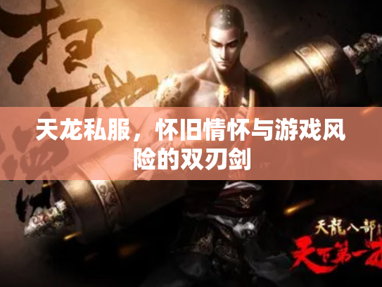 天龙私服，怀旧情怀与游戏风险的双刃剑