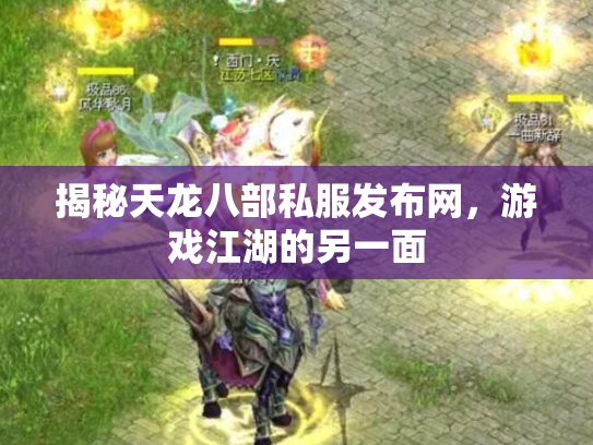 揭秘天龙八部私服发布网，游戏江湖的另一面