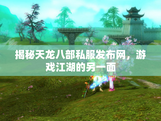 揭秘天龙八部私服发布网，游戏江湖的另一面