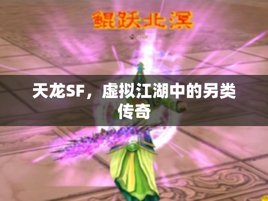 天龙SF，虚拟江湖中的另类传奇