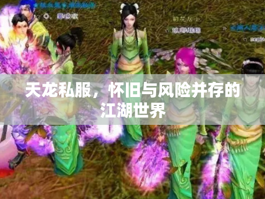 天龙私服，怀旧与风险并存的江湖世界