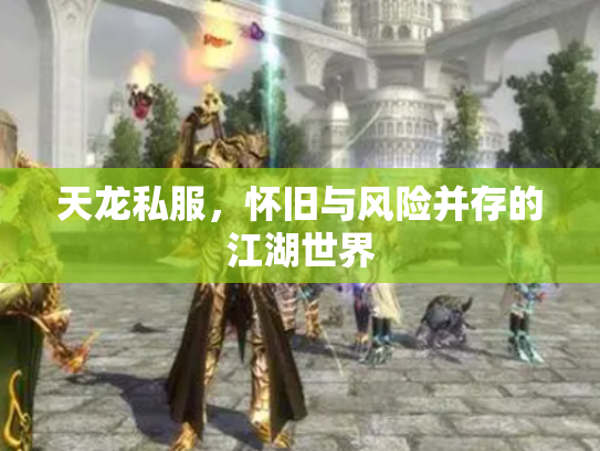 天龙私服，怀旧与风险并存的江湖世界