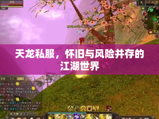 天龙私服，怀旧与风险并存的江湖世界