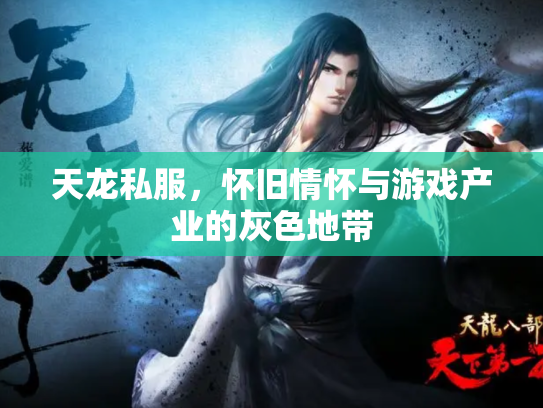 天龙私服，怀旧情怀与游戏产业的灰色地带