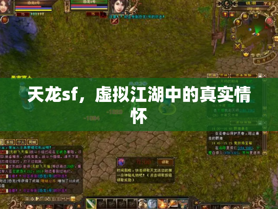 天龙sf，虚拟江湖中的真实情怀