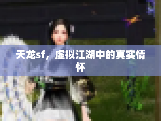 天龙sf，虚拟江湖中的真实情怀