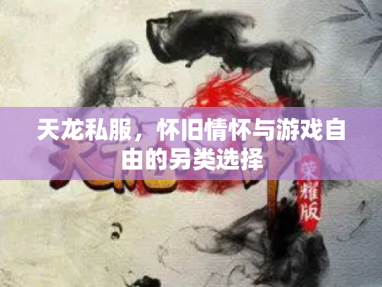 天龙私服，怀旧情怀与游戏自由的另类选择