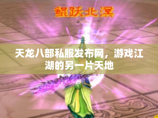 天龙八部私服发布网，游戏江湖的另一片天地