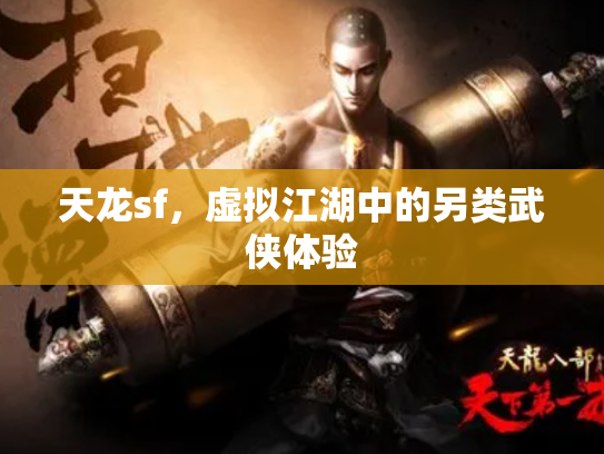 天龙sf，虚拟江湖中的另类武侠体验