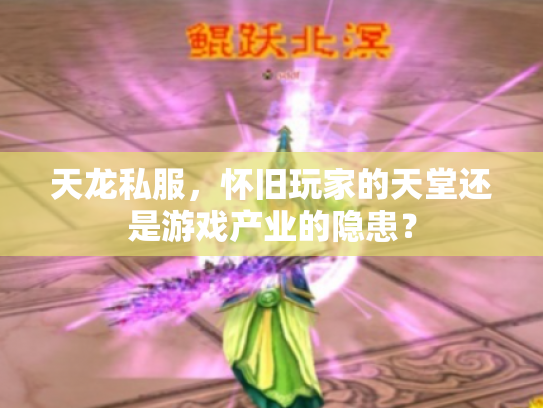 天龙私服，怀旧玩家的天堂还是游戏产业的隐患？