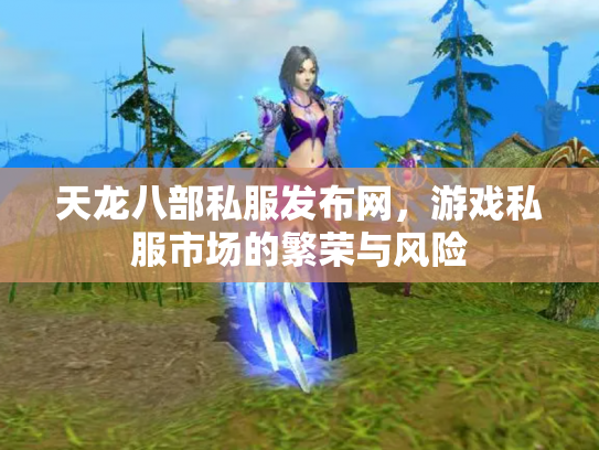 天龙八部私服发布网，游戏私服市场的繁荣与风险