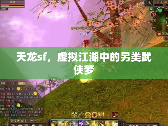 天龙sf，虚拟江湖中的另类武侠梦