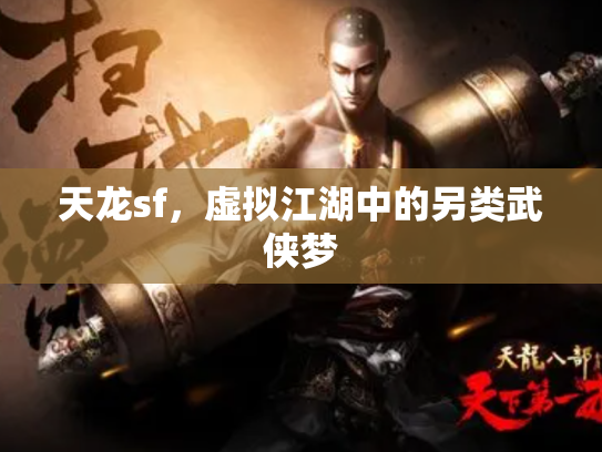 天龙sf，虚拟江湖中的另类武侠梦