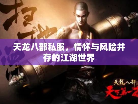 天龙八部私服，情怀与风险并存的江湖世界